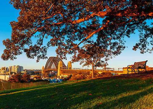 Sydney Harbour Bridge